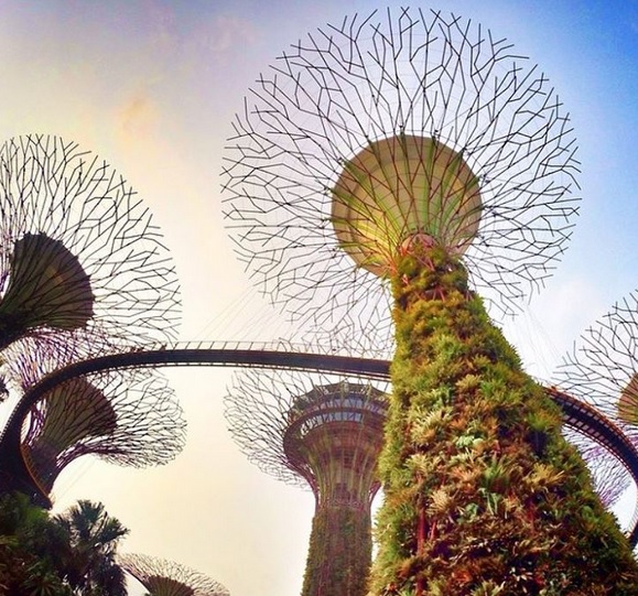 Gardens by the Bay