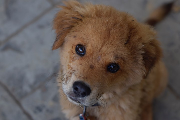 60AC33BD-A1D0-471D-87FE-FA9C5CDF4270-1